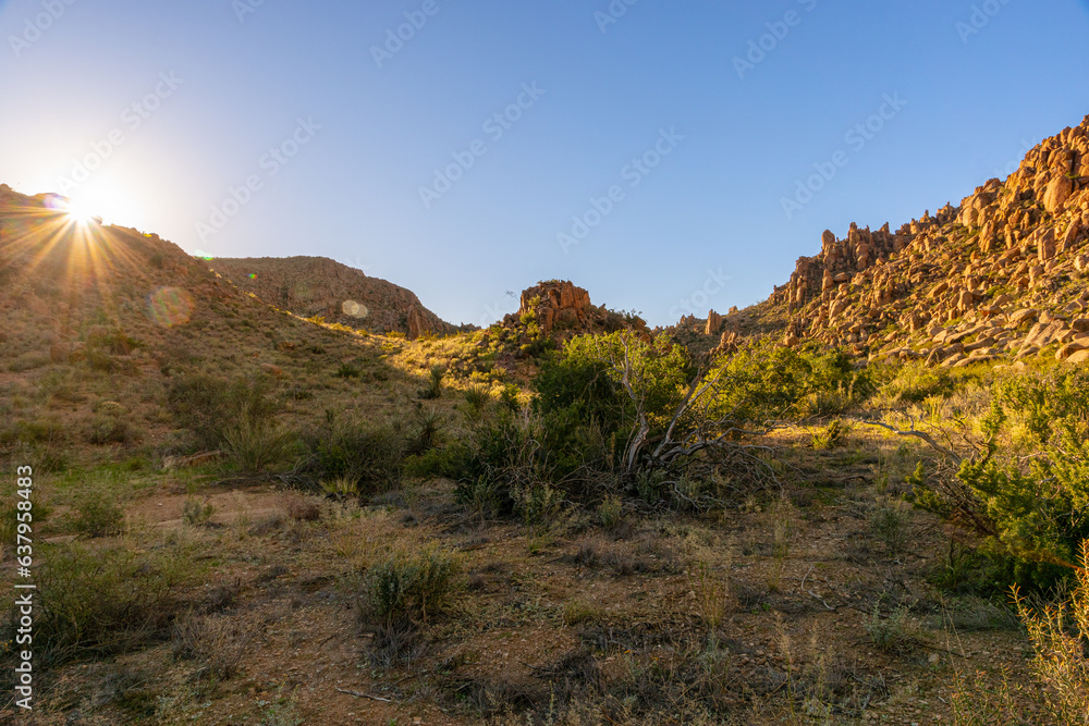 Big Bend National Park