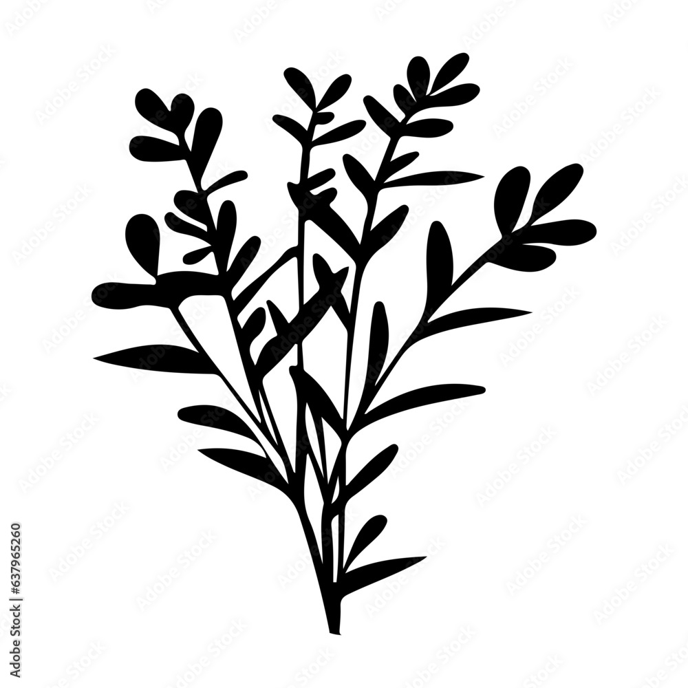 Naklejka premium herb plant illustration