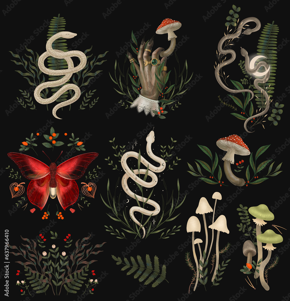 magical forest elements. images of a snake, night moth, fly agaric mushrooms, plant and space elements. Ideal for printing on fabric or clothing, wallpaper and wrapping paper magical forest elements. images of a snake, night moth, fly agaric mushrooms, plant and space elements. Ideal for printing on fabric or clothing, wallpaper and wrapping paper