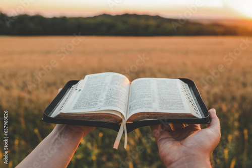 Valokuva Open bible in hands, sunset in the wheat field, christian concept