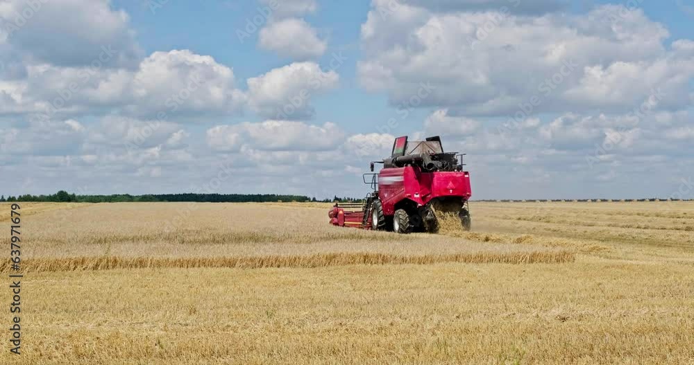 modern heavy harvesters remove the ripe wheat bread in field. Seasonal agricultural work modern heavy harvesters remove the ripe wheat bread in field. Seasonal agricultural work
