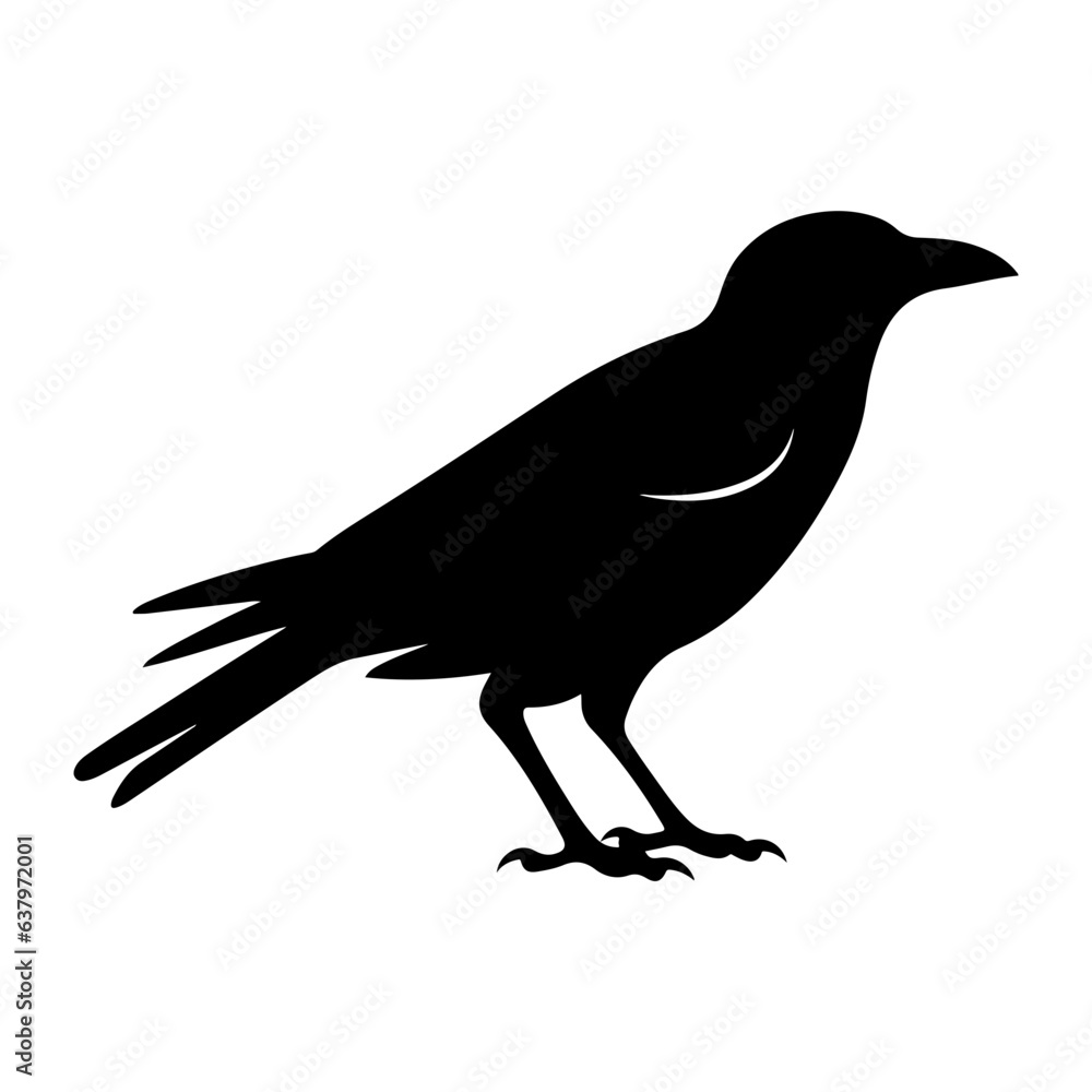 Obraz premium Crow silhouette