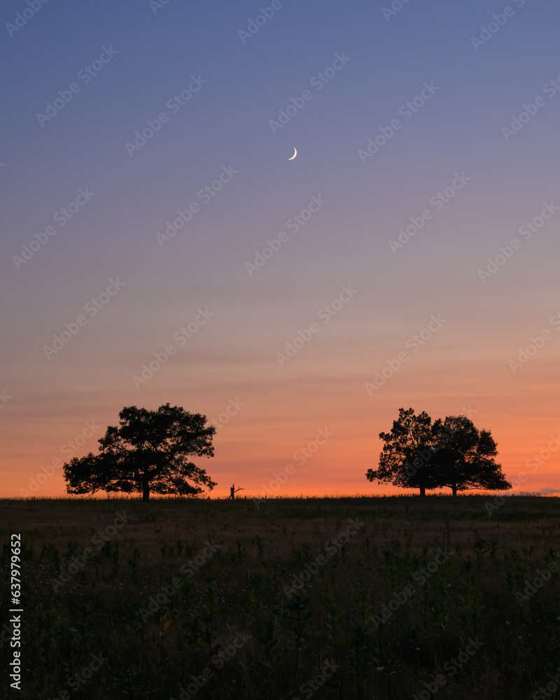 Waxing Crescent Moon at Sunset in Big Meadows
