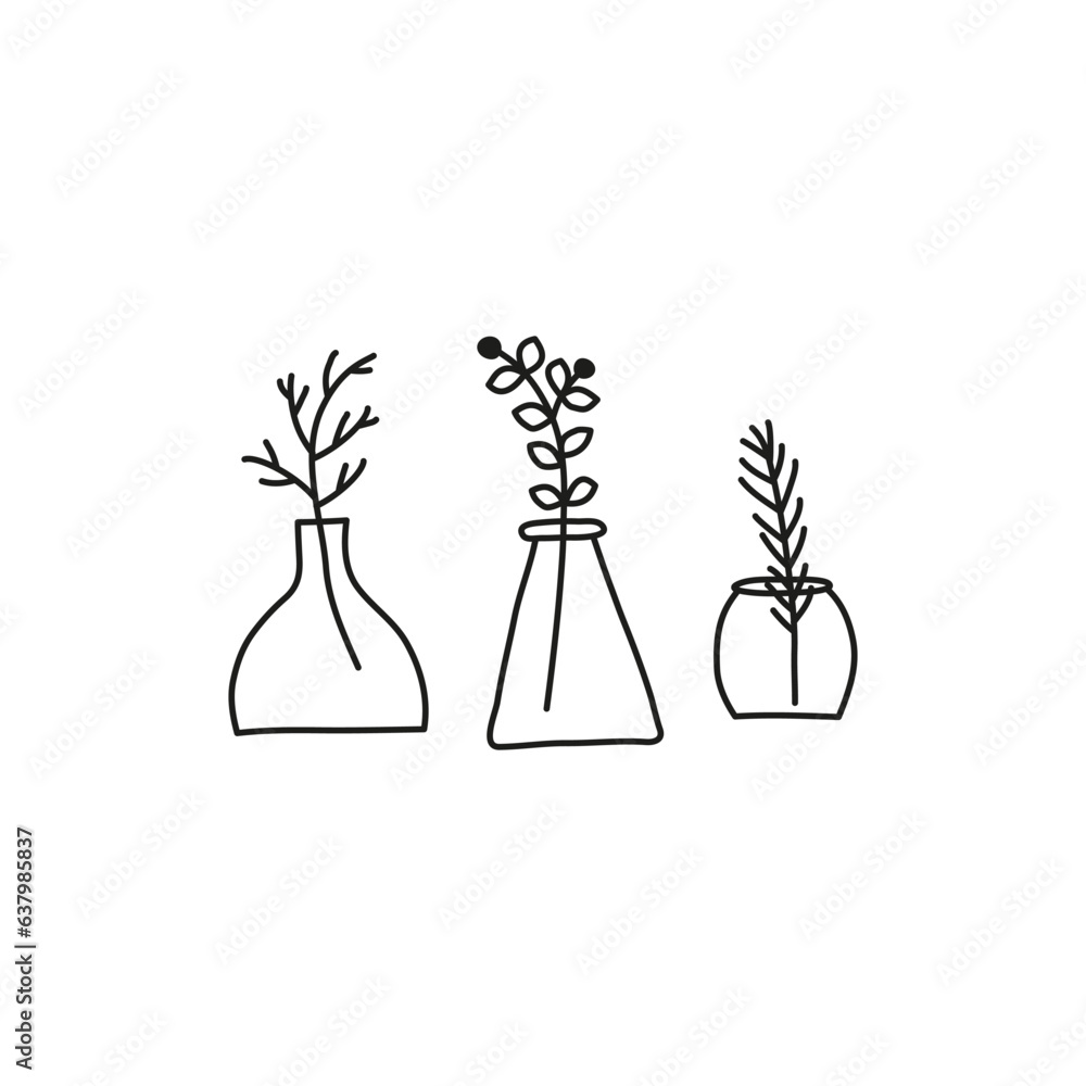 Doodle wild plants, herbs, twigs, berries in vases. Doodle wild plants, herbs, twigs, berries in vases.