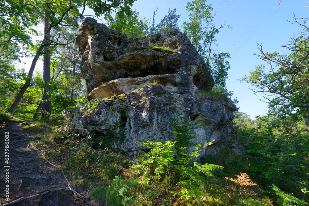 Rock of the Carrosse in fontainebleau forest