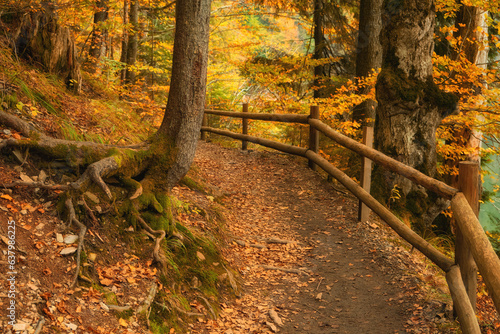 Autumnal Tranquility: Forest Road Alongside the Serene Lake