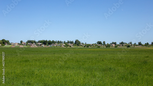 Rural landscape in summer  bright and spacious sky