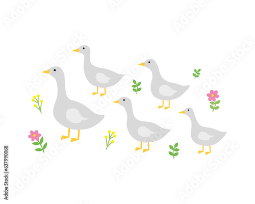 Doodle gooses and flowers, herbs around.