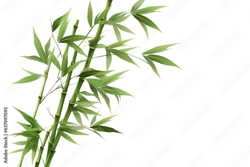 Naklejka premium Whispers of Bamboo Leaves Isolated on Transparent Background. Generative AI