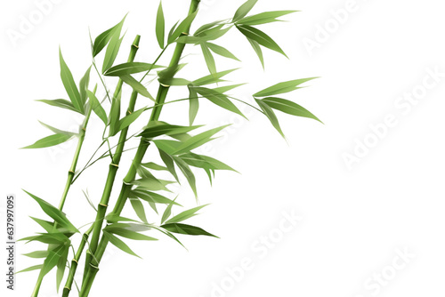 Whispers of Bamboo Leaves Isolated on Transparent Background. Generative AI