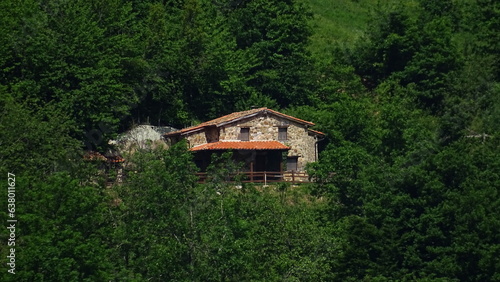 Pintoresca cabaña en la montaña rodeada de bosque