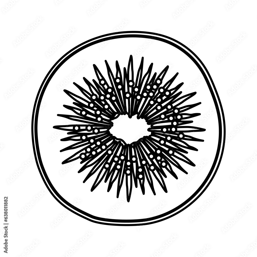 Fototapeta premium Kiwi simple fruit icon for web. Round ui icon, sign or logo.