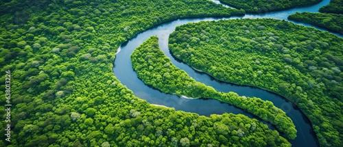 Photo An aerial shot of a winding river meandering through a verdant rainforest, with hints of wildlife on the banks