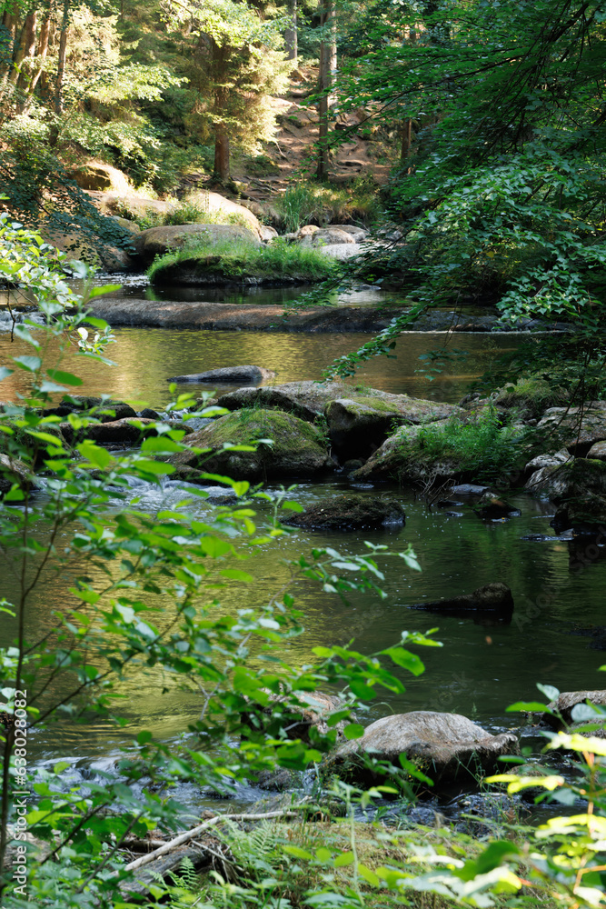 Sommeridylle am Flusslauf im Waldnaabtal Sommeridylle am Flusslauf im Waldnaabtal