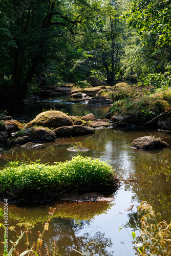 Sommeridylle am Flusslauf im Waldnaabtal