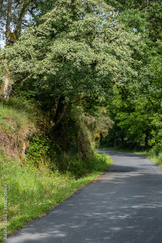 bend on a rural road in Galicia bend on a rural road in Galicia