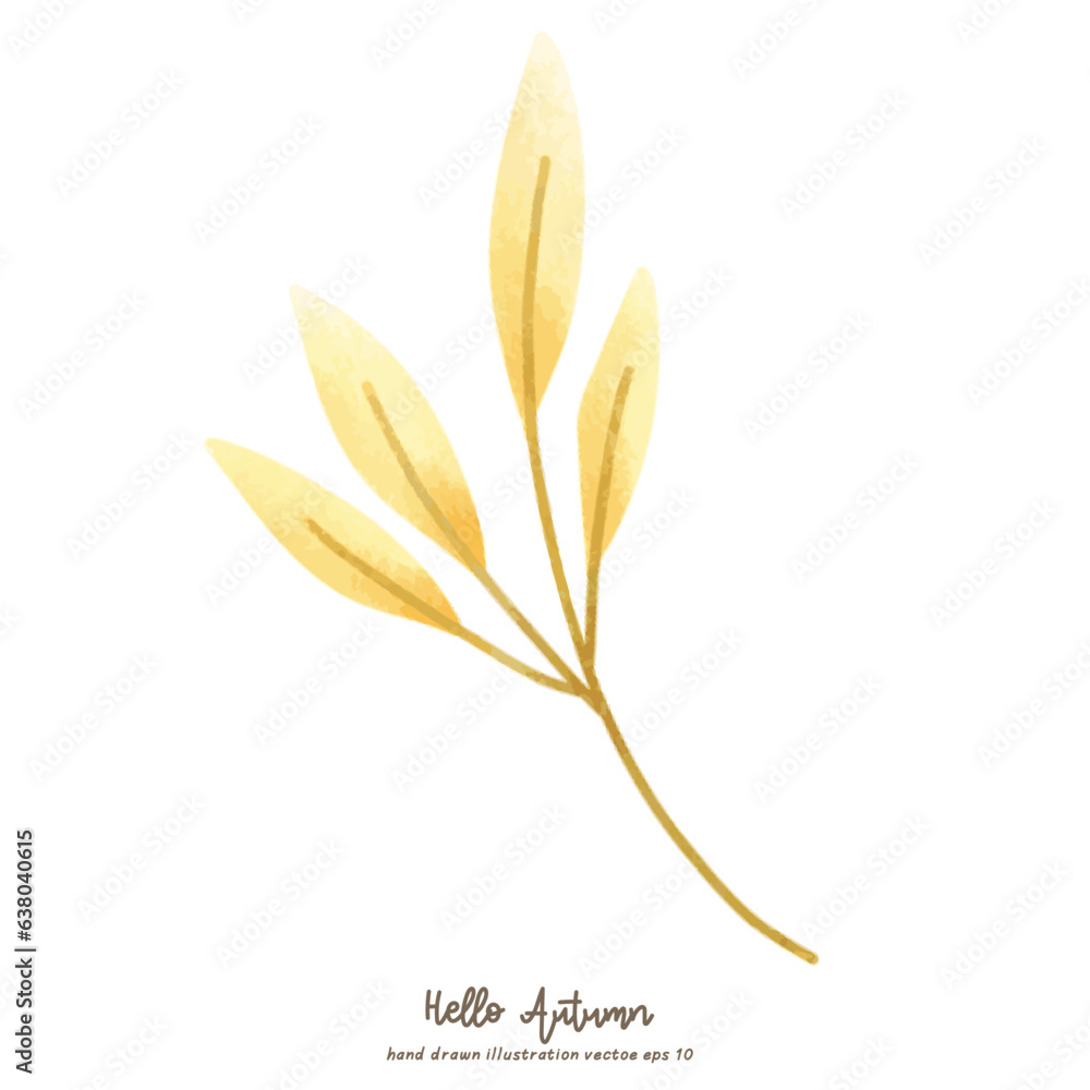 Autumn elements hand drawn in autumn season witn fall plants isolated on white background , illustration Vector EPS 10