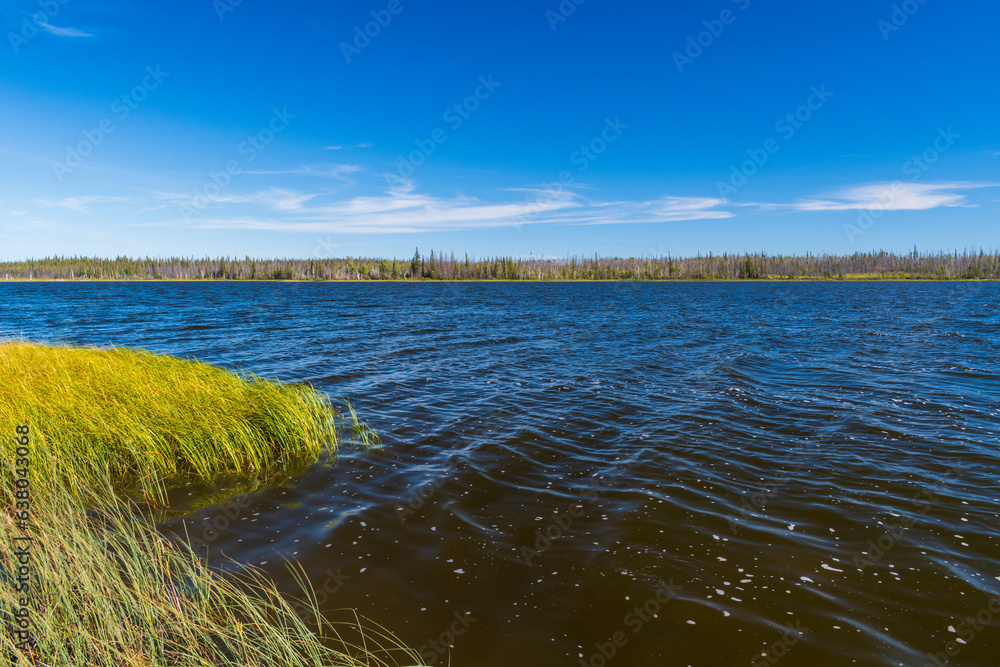Beautiful lake sparkles in sunshine in Northwest territories, Canada