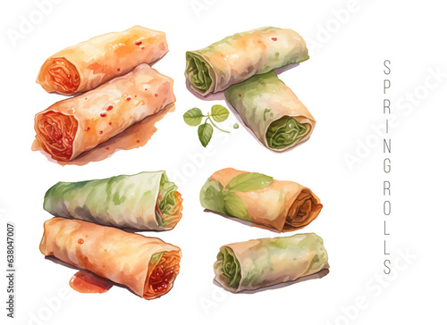 spring roll with shrimp, herbs, vegetables, avocado. Cliparts. Vector illustration of traditional Chinese cuisine and other Southeast