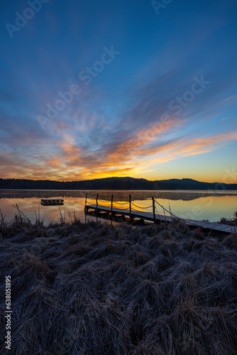 nature reserve Olsina  Sumava National Park  Czech Republic