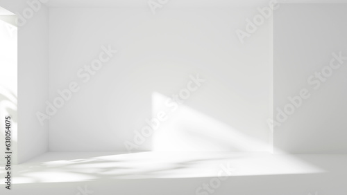 White room abstract forms with sunlight, empty place white walls and empty blank white floor and leafs shadows, white wall background gray gradient