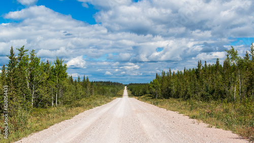 Dirt road traverses through boreal forest under puffy white clouds in Wood Buffalo National Park, Canada