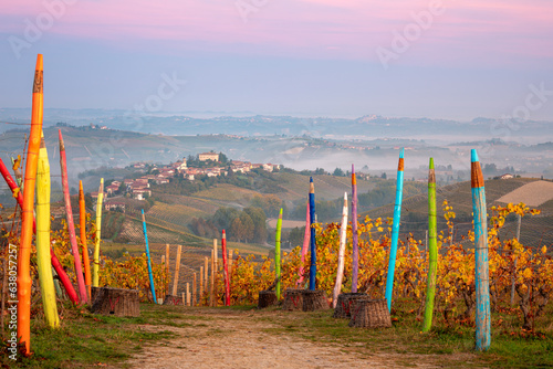 Autumn landscape in Langhe, Piedmont, Italy photo