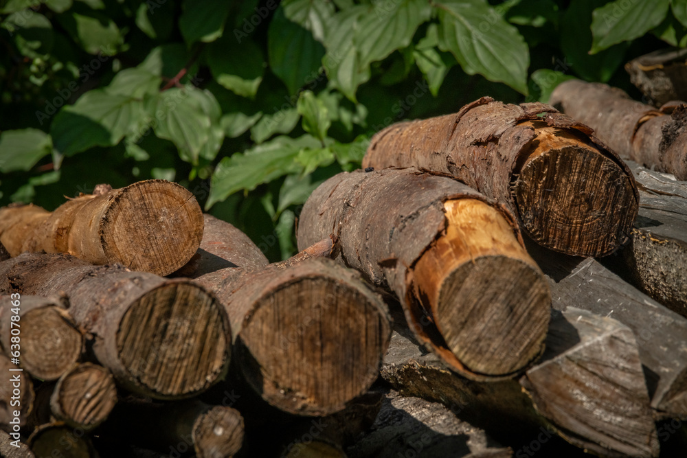 Abundance of Logs in Forest: Environmental Issues and the Fossil Fuel Debate Abundance of Logs in Forest: Environmental Issues and the Fossil Fuel Debate