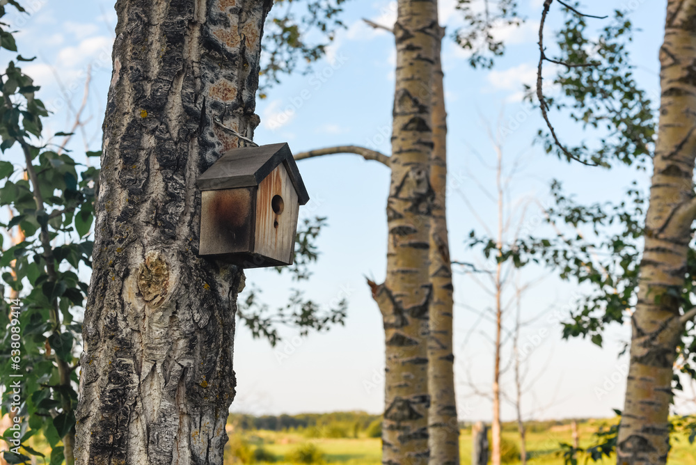 Birdhouse on tree in forest park in Central Alberta Birdhouse on tree in forest park in Central Alberta