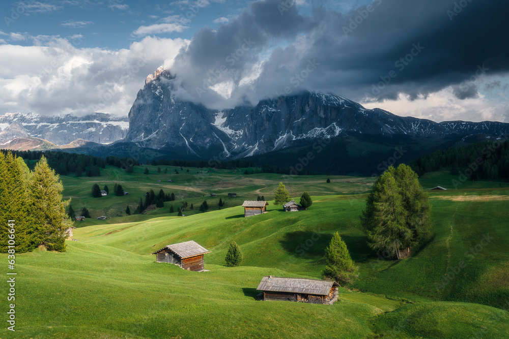 Italy Dolomites in spring time, Alpe di Siusi, green grassland and flowers Italy Dolomites in spring time, Alpe di Siusi, green grassland and flowers