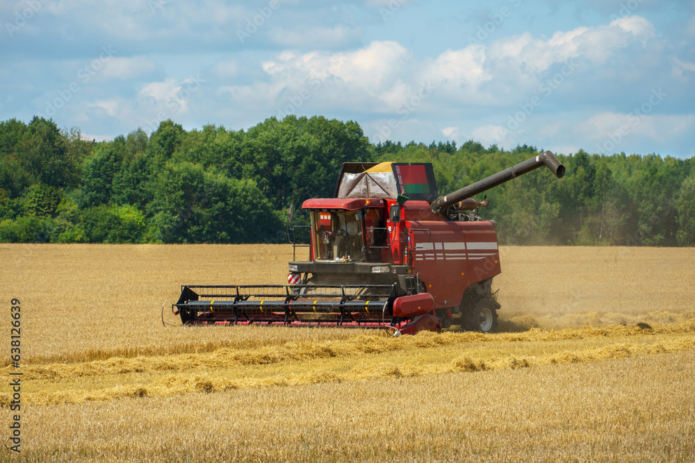 Obraz premium The combine harvester is working in the field. Agro-industrial complex, grain harvest season. Harvesting and harvesting of wheat, flour production. Grain deal.