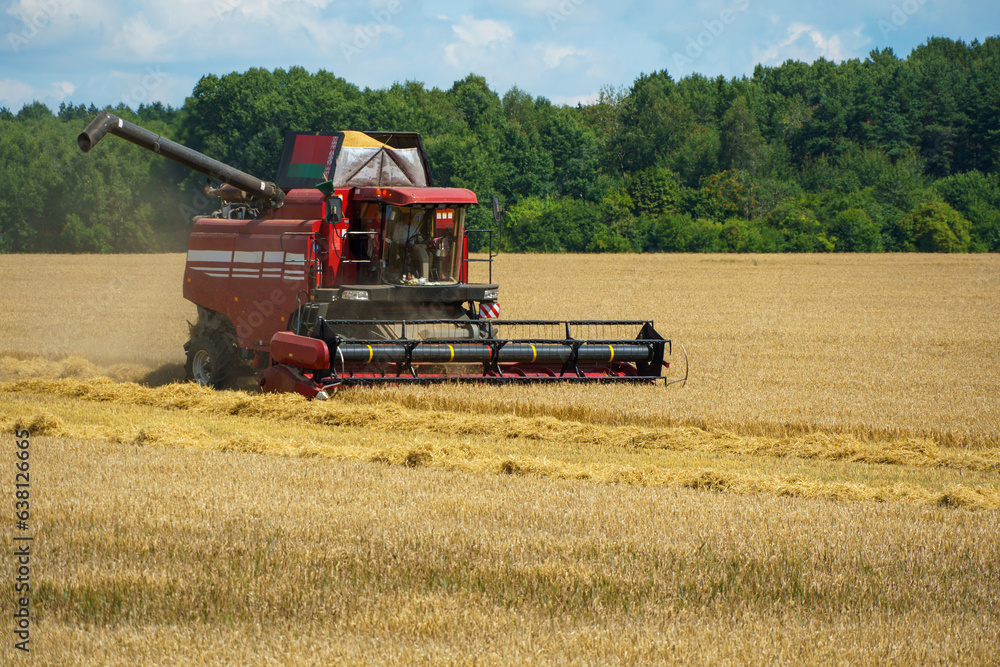 The combine harvester is working in the field. Agro-industrial complex, grain harvest season. Harvesting and harvesting of wheat, flour production. Grain deal. The combine harvester is working in the field. Agro-industrial complex, grain harvest season. Harvesting and harvesting of wheat, flour production. Grain deal.