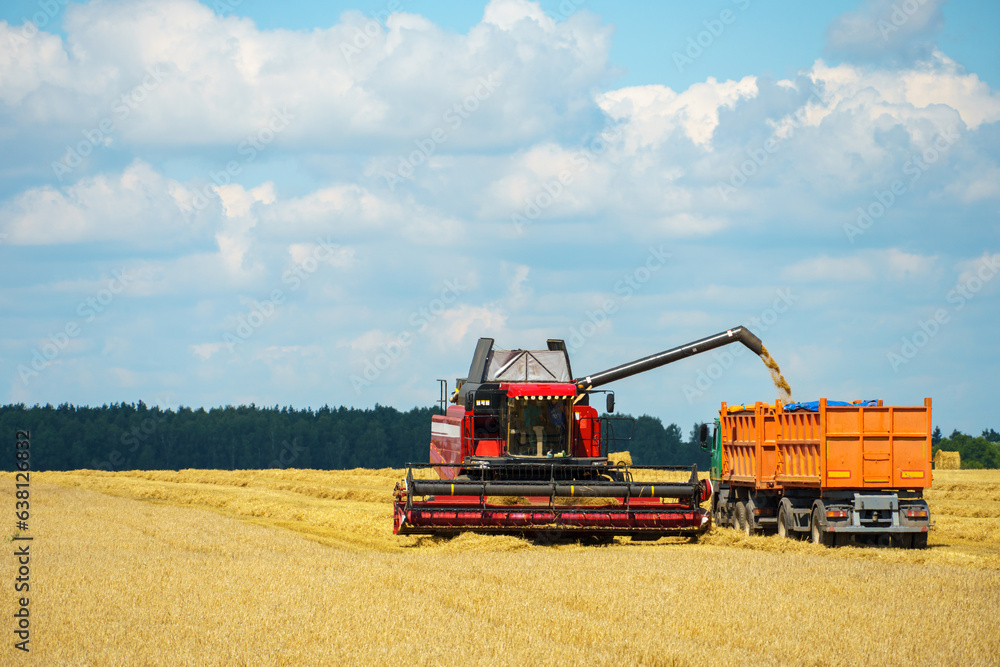 Obraz premium A combine harvester pours grain into a truck trailer. Harvesting, harvesting, storage, drying of grain. Flour production. Black Sea Grain Deal.