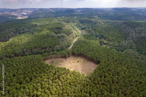 Belgrad forest background photo