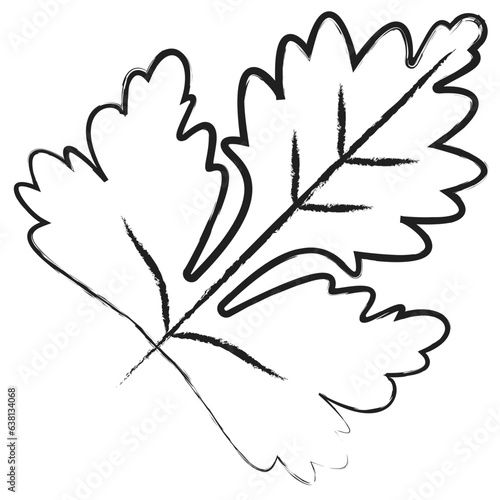 Canvas-taulu Hand drawn Leaf icon
