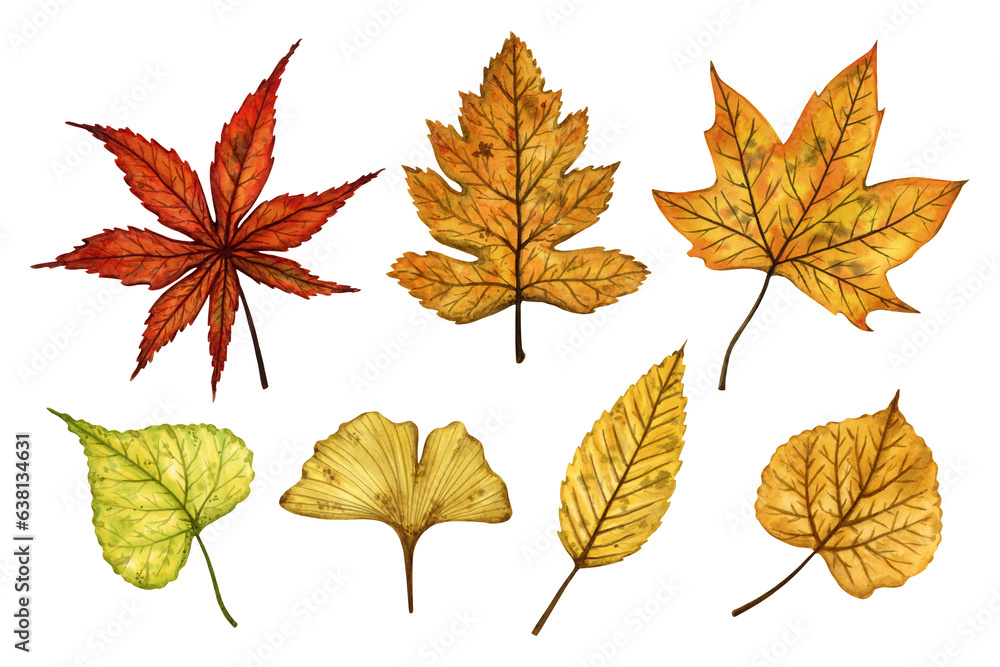 Naklejka premium A set of autumn leaves (linden, maple, ginkgo), hand drawn watercolor illustration isolated on white background. For design of patterns, textiles, stickers, postcards, greeting cards, invitations.