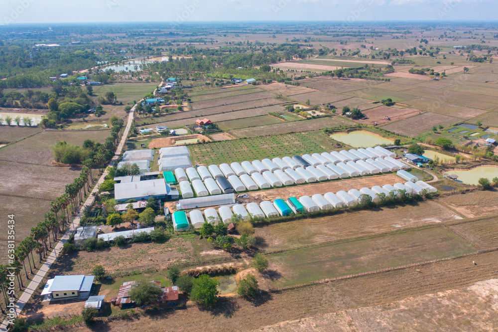 Naklejka premium Aerial top view of tents roof in plant industry farm, green agricultural field in countryside or rural area in Asia. Nature landscape background.
