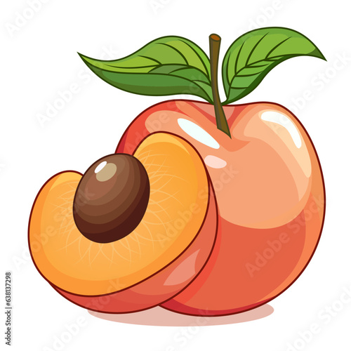 Apricot Fruit vector illustration, Prunus armeniaca, stone fruit stock vector image