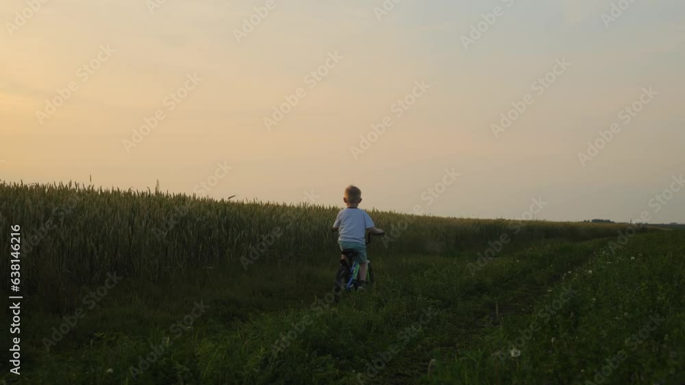 A shot at sunset as a little boy of 5 years old rides away from the camera on a bicycle along a wheat field. Happy little boy on a bike and his vacation in the village.The dream of cycling. 4k footage A shot at sunset as a little boy of 5 years old rides away from the camera on a bicycle along a wheat field. Happy little boy on a bike and his vacation in the village.The dream of cycling. 4k footage