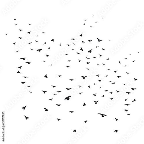 Sketch drawing of a silhouette of a flock of birds flying forward, cling together. Takeoff, flying, flight, flutter, hover, soaring, landing © Mar
