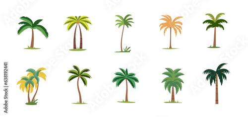 Colorful palm trees set, cartoon flat illustration vector