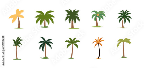 Cute palm tree and coconut tree illustration set, collection of exotic plants flat vector image