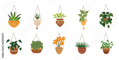 Set of beautiful plant hanging, flower plant hanger pot, flat icon vector illustration