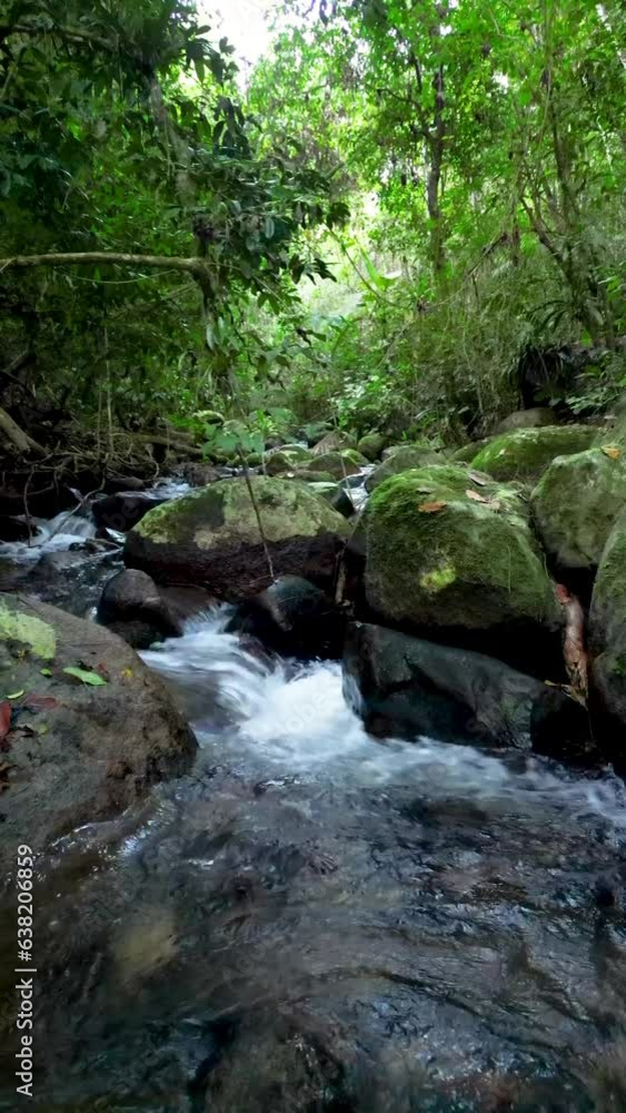 view passing through a tropical forest, with rocks and waterfall view passing through a tropical forest, with rocks and waterfall