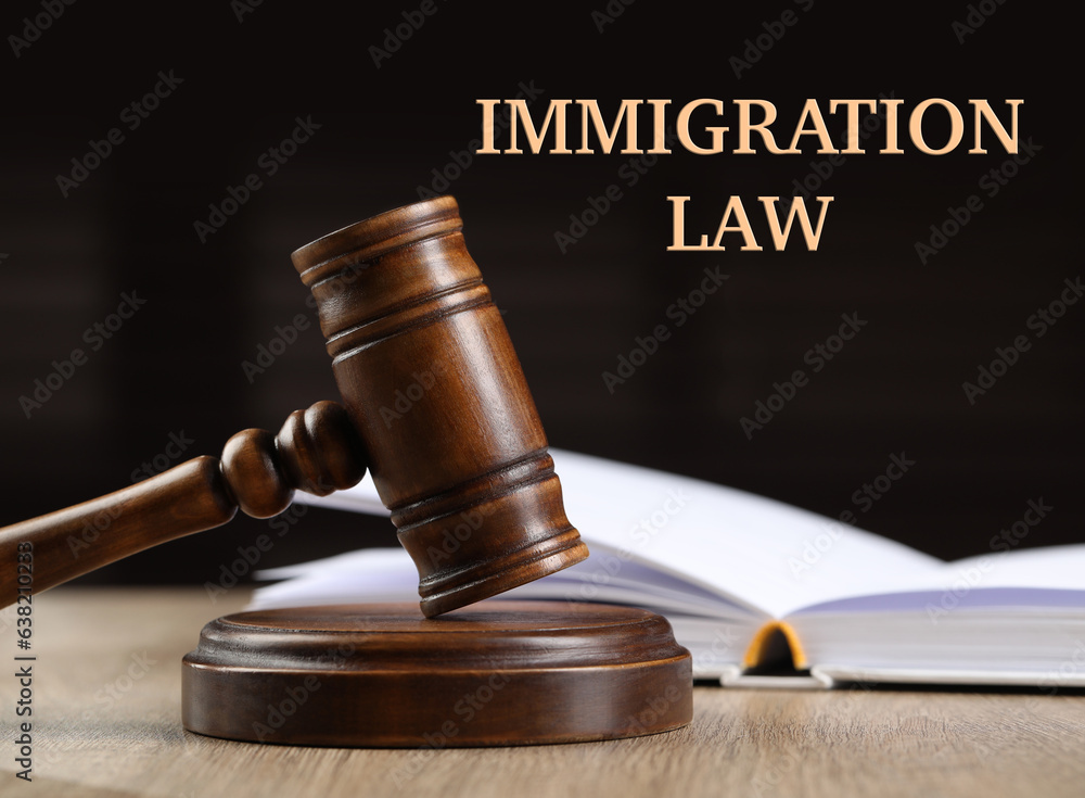 Immigration law. Wooden gavel and open book on table