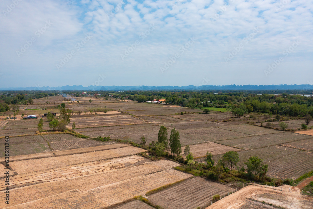 Aerial top view of fresh paddy rice, green agricultural fields in countryside or rural area in Asia, Thailand. Nature landscape