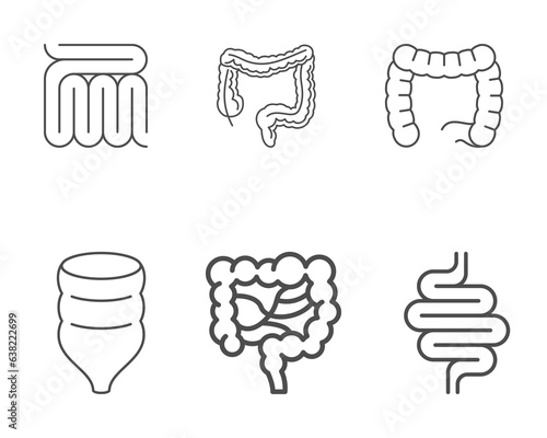 Intestines line icon or digestion system symbol