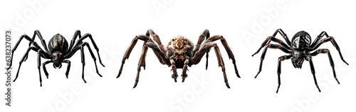 Obraz Three horror spiders over isolated transparent background