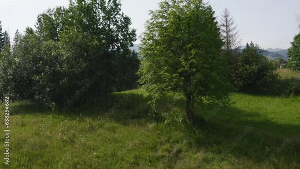 drone forest low flying up onto village in Cyrhla 