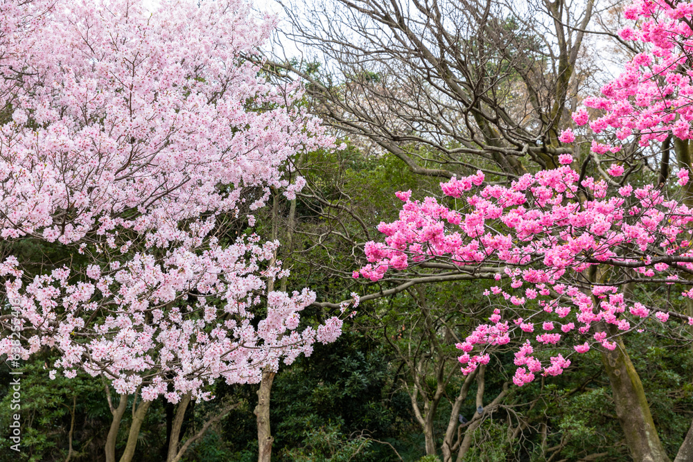 三ツ池公園の景色